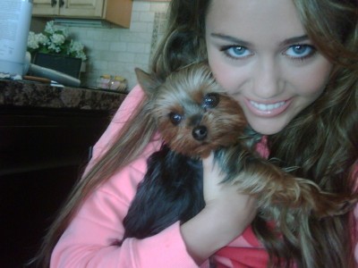 Miley Cyrus, aka Hannah Montana with Puppy "Shooter"