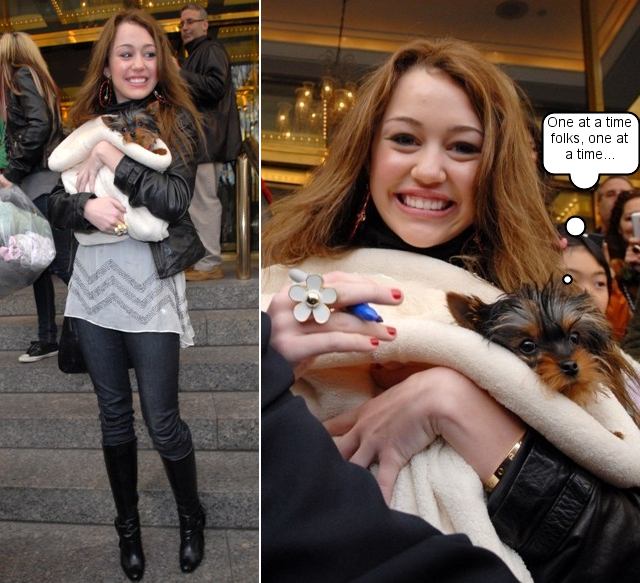 Miley Cyrus, aka Hannah Montana with New Yorkie Puppy "Shooter"