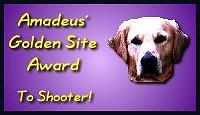 Amadeus Golden Site Award