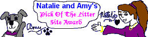 Natalie and Amy's Award