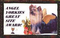 Angel Yorkies' Award