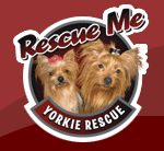 Rescue Me Yorkie Rescue