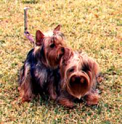 Brewster and Abigail