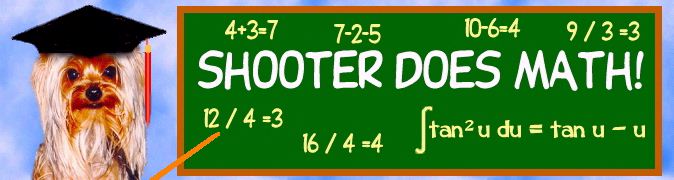 Shooter Does Math!