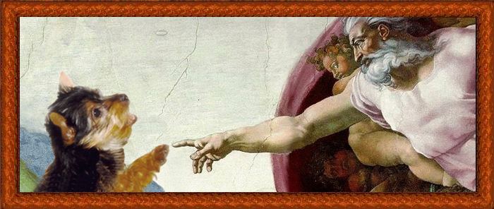 sistine chapel hands. Sistine Chapel ceiling,