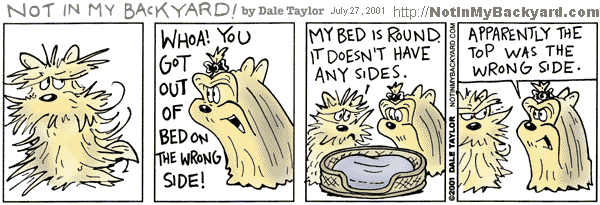 www.notinmybackyard.com Yorkie Cartoon