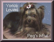 Yorkie Lovers Award