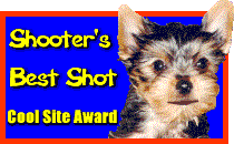 Shooter's
Cool Site Award