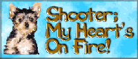 Shooter's Page