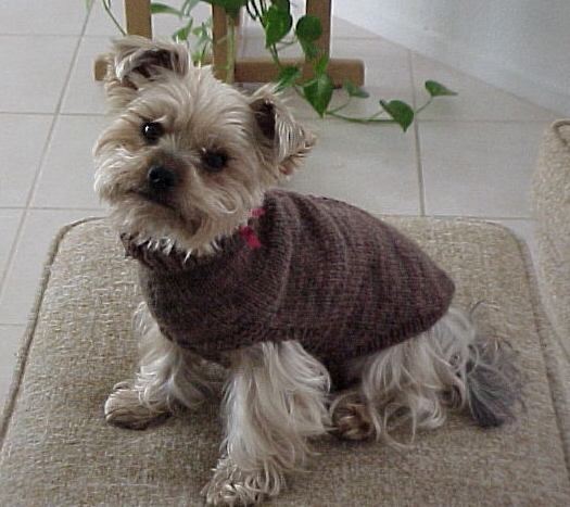 Skipper