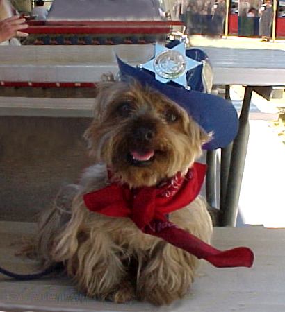 Skipper