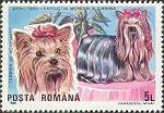 Yorkie Stamps